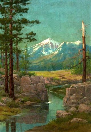 Landscape, Flagstaff, Arizona