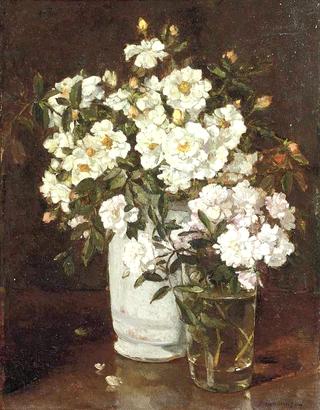 Floribunda Roses