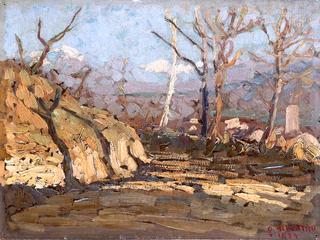 Winter Sun, Viconago