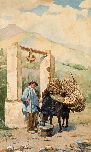 Watering a Donkey I