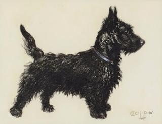 A Scottie