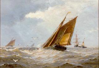 Choppy Sea with Numerous Sailing Boats