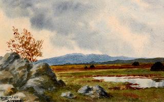 Connemara Landscape