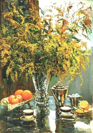 Mimosa