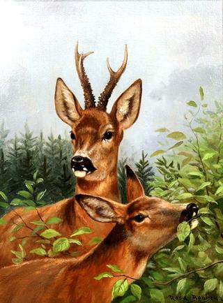 Stag and Doe