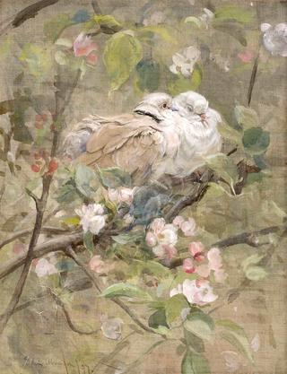 Doves and Apple Blossoms