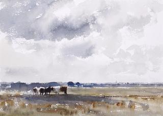 Cattle on the Marshes, Norfolk