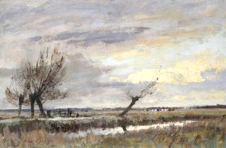 Pollard Willows on the Marsh - Norfolk