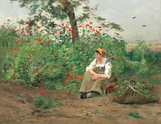 Among the Poppies