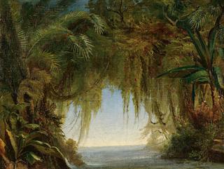 Tropical Landscape