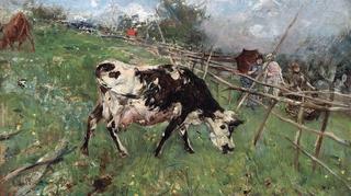 An Afternoon Stroll along a Pasture