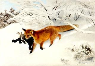 Fox in a Snowy Landscape