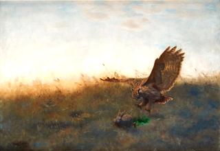 Eagle Owl Hunting a Hare