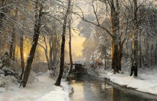 Winter Woodland at Dawn