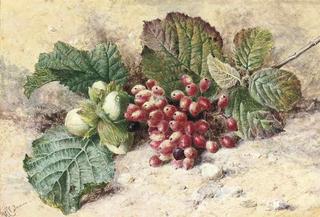 Still Life of Acorns and Red Currants