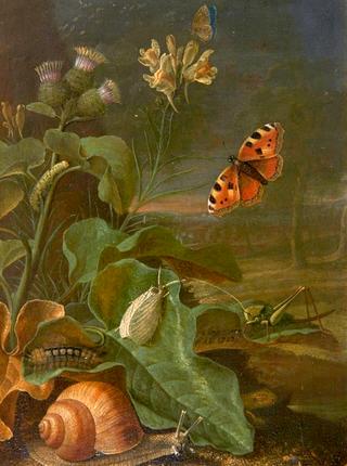 Still Life with Plants and Insects