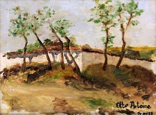 Young Trees in a Garden