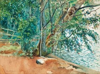 Trees by the Water