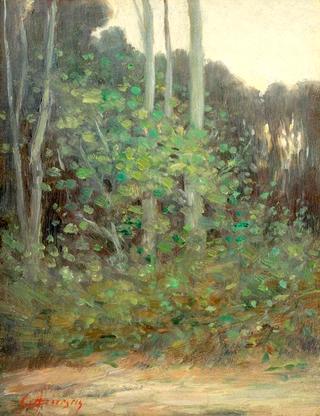 Silver Forest