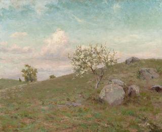 Hillside