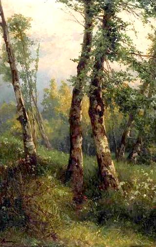 Wooded Landscape