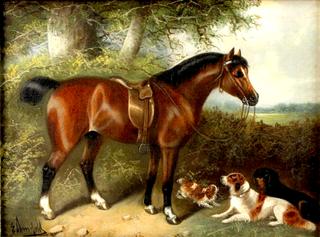 Horse and Dogs