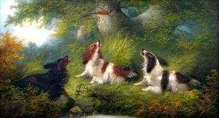 Three Spaniels Flushing out a Grouse