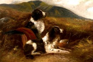 Springer Spaniels in a Moor with Game