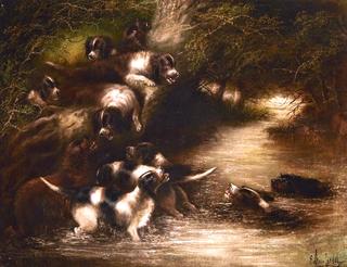 Otter Hounds in Pursuit