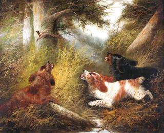 Spaniels Chasing Pheasant in a Wood