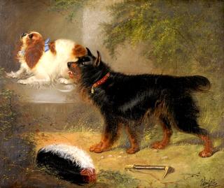 Terrier and a King Charles Spaniel beside a Wall