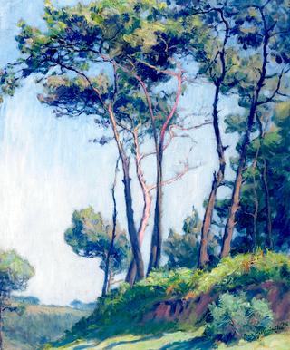 The Pines at St. Efflam