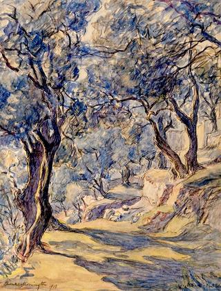 Olive Grove