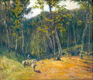 Forest with Sheep