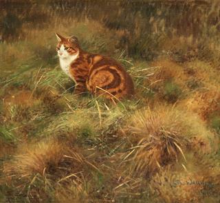 Summer Landscape with Cat