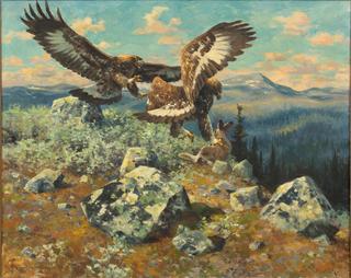 Eagles Hunting a Hare