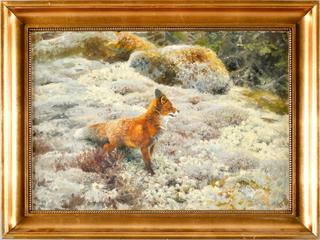 Fox in a Landscape