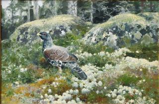 Grouse in the Wood