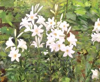Lilies