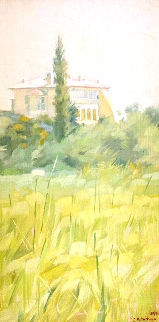 Villa on Capri