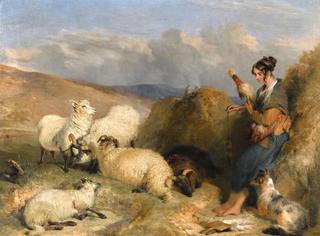 Lassie Herding Sheep