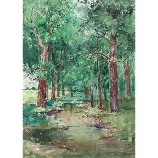 Forest Scene