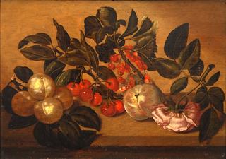 Plums, Cherries, Currants, Peach and Rose on an Table