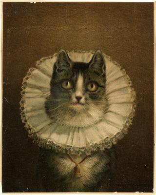 The Widow