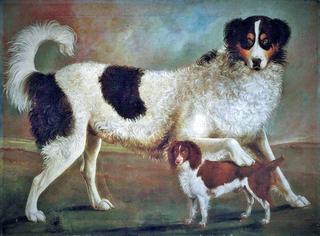 Two spaniels in a landscape