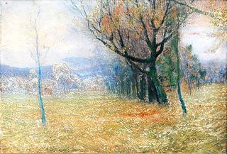 Autumn Poplars