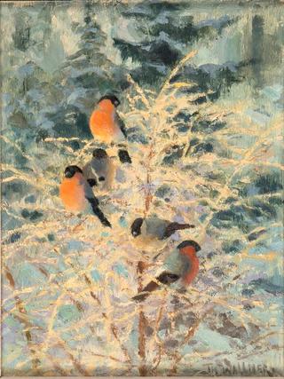 Bullfinches