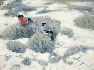 Bullfinches