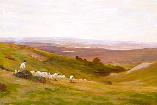 Exmoor Landscape with Sheep