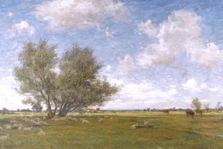 A Wide Pasture